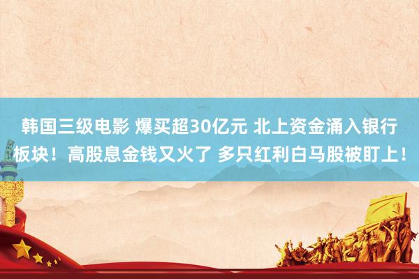 韩国三级电影 爆买超30亿元 北上资金涌入银行板块！高股息金钱又火了 多只红利白马股被盯上！