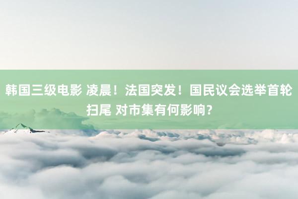 韩国三级电影 凌晨！法国突发！国民议会选举首轮扫尾 对市集有何影响？
