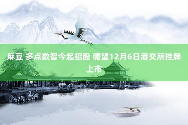 麻豆 多点数智今起招股 瞻望12月6日港交所挂牌上市