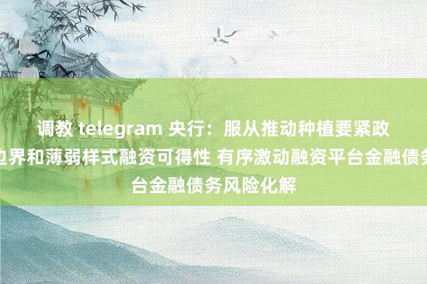调教 telegram 央行：服从推动种植要紧政策、重心边界和薄弱样式融资可得性 有序激动融资平台金融债务风险化解