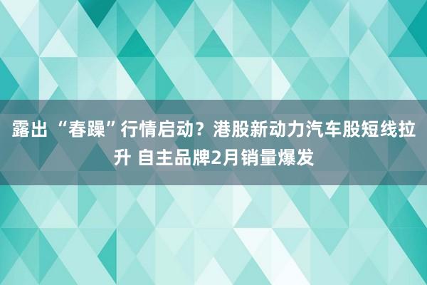 露出 “春躁”行情启动？港股新动力汽车股短线拉升 自主品牌2月销量爆发