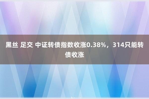 黑丝 足交 中证转债指数收涨0.38%，314只能转债收涨