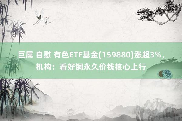 巨屌 自慰 有色ETF基金(159880)涨超3%，机构：看好铜永久价钱核心上行