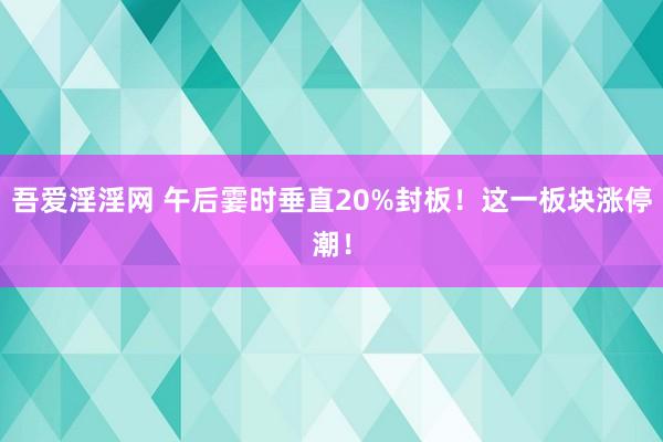 吾爱淫淫网 午后霎时垂直20%封板！这一板块涨停潮！