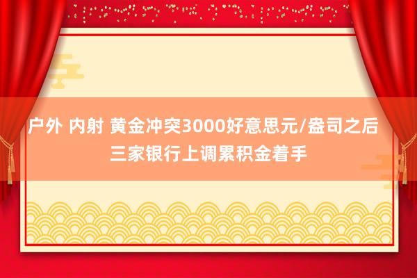 户外 内射 黄金冲突3000好意思元/盎司之后  三家银行上调累积金着手